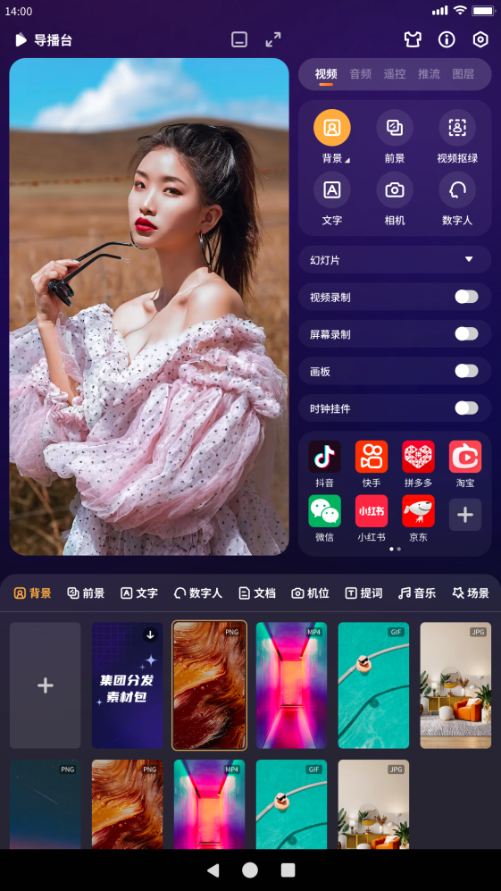 Director Interface 1